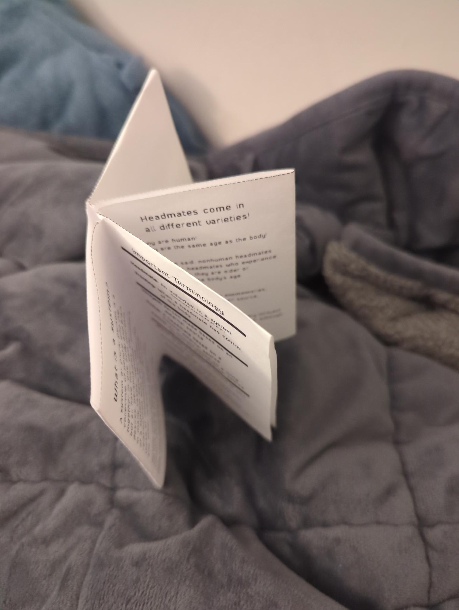 paper folded into a loose booklet