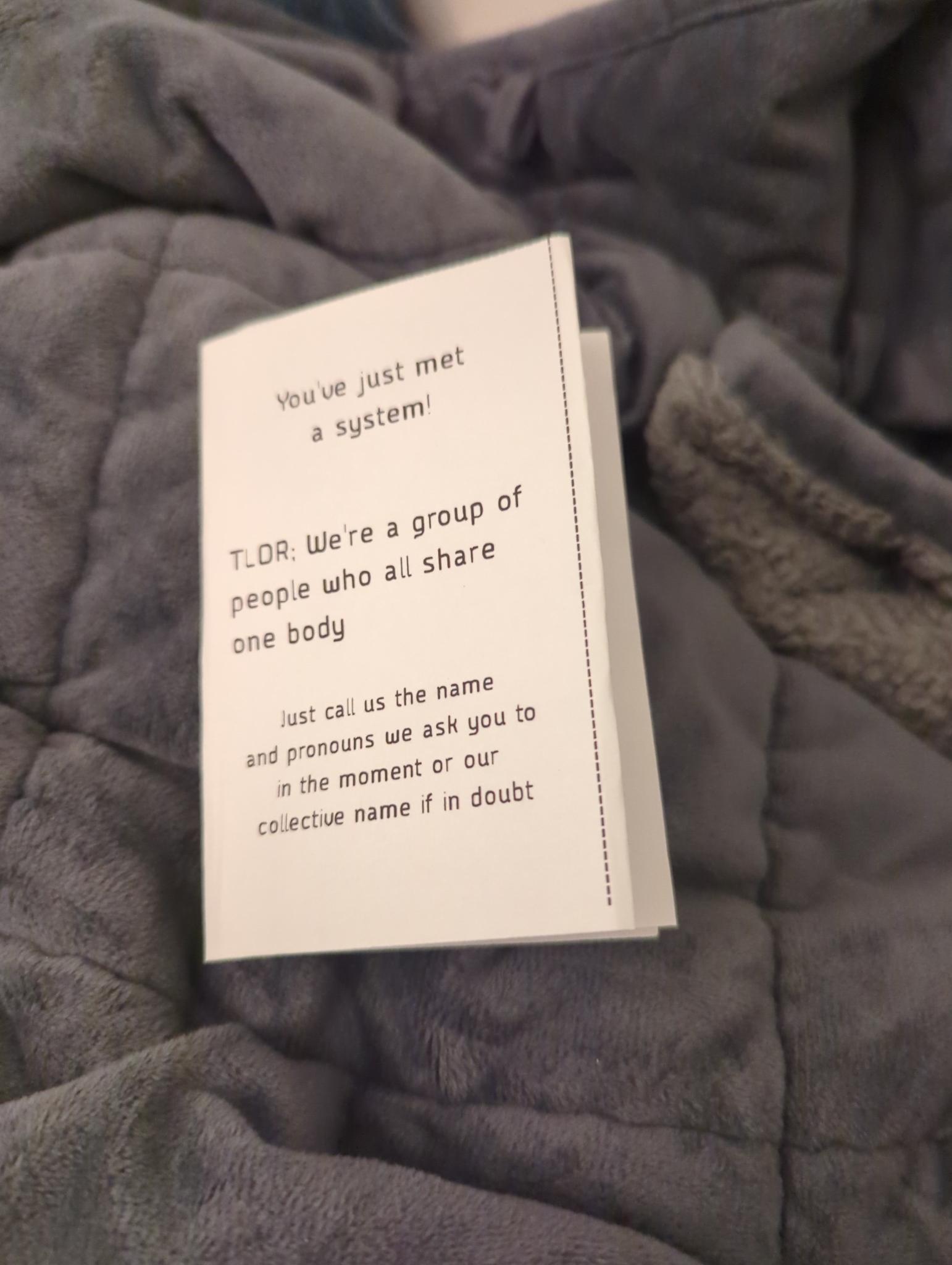 a fully folded zine it says you've just met a system! TLDR we're a group of people who all share one body, just call us the name and pronouns we ask you to in the moment or our collective name if in doubt on the cover